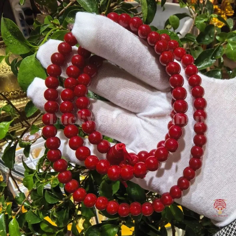A person wearing white gloves holding the red Tibetan wooden rosary beads for ritual and blessing.