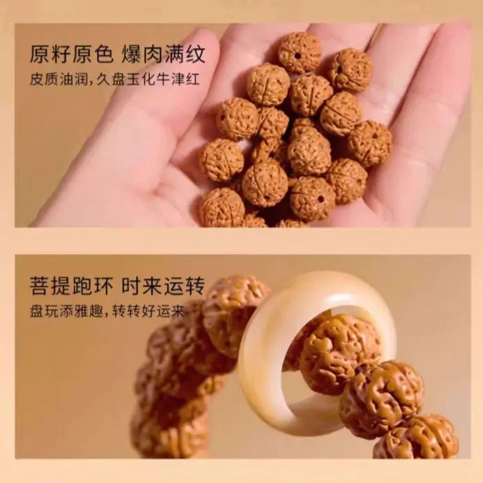 Natural Rudraksha 108-Bead Blessing Bracelet with White Jade Lotus & Money Bag Charms-LuckyCharms.Shop