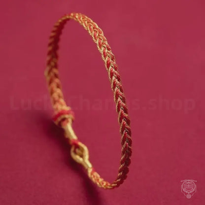 Bracelet tressé multicolore à motif serpent | Design à plusieurs niveaux, porte-bonheur et source d'énergie